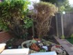 Garden Design / Maintenance Barking - After